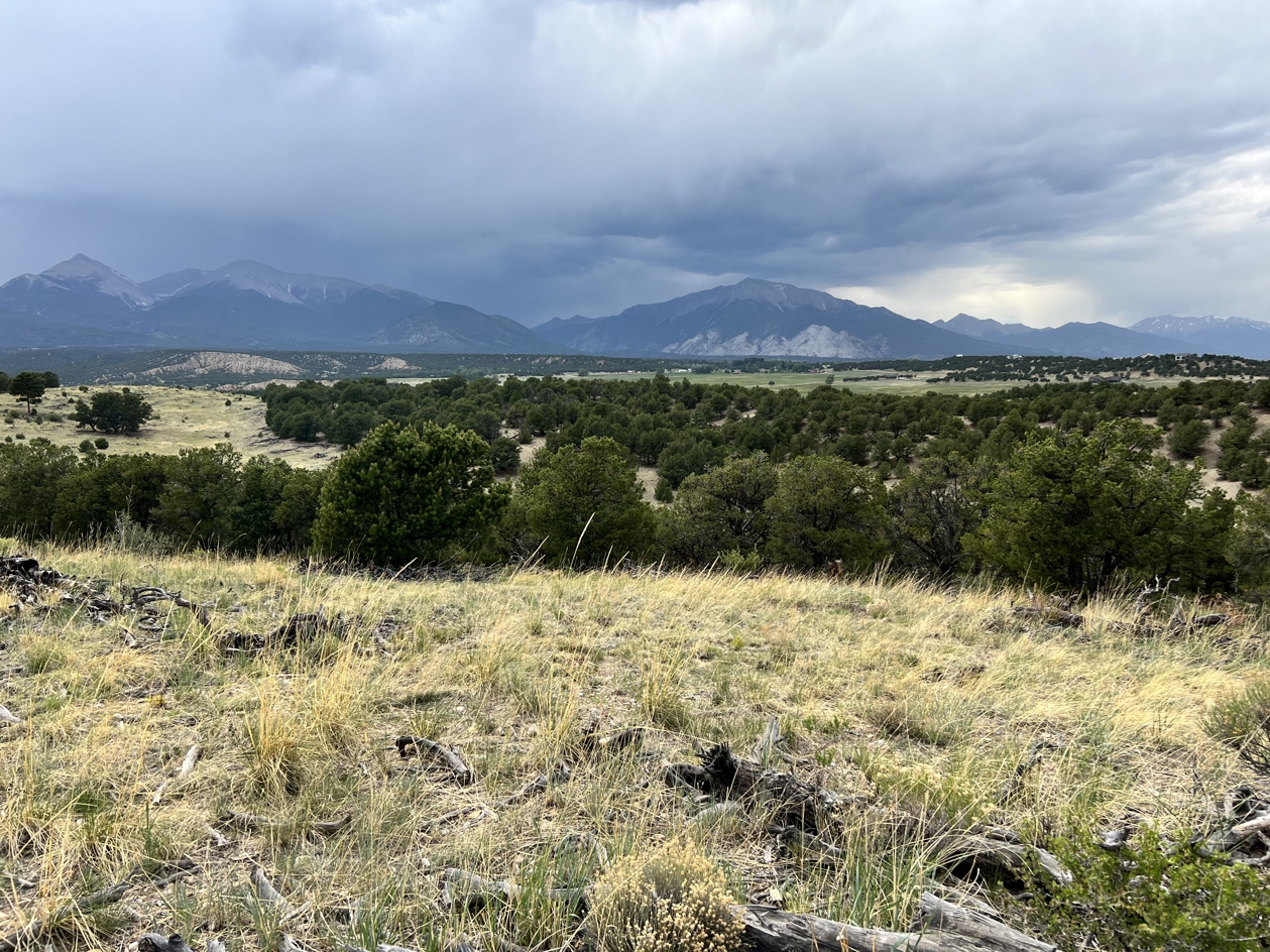 Rawhide Creek Ranch near Nathrop preserved Chaffee Common Ground